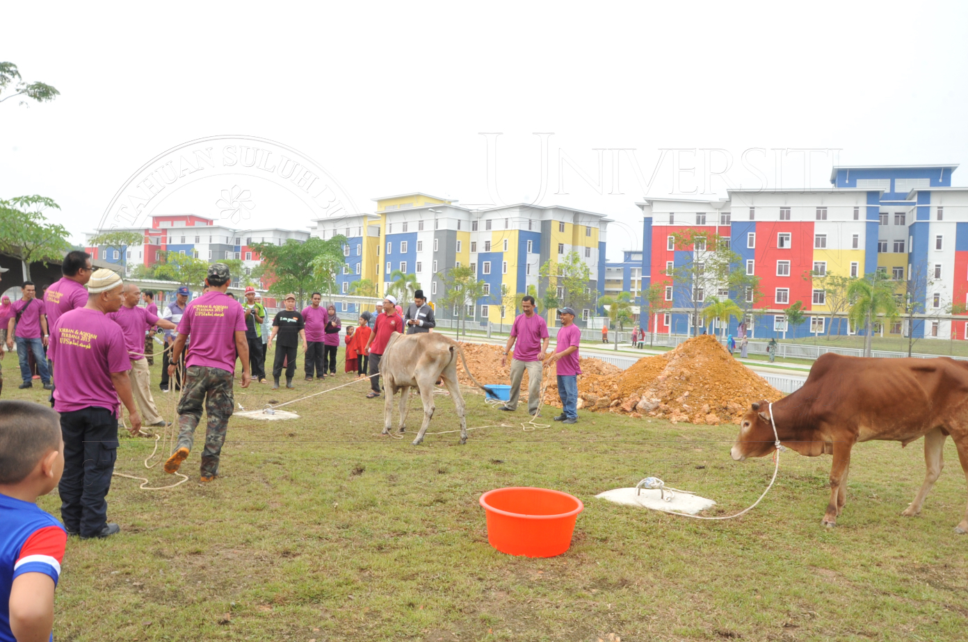 PRO15 150 KORBAN HAS 6797